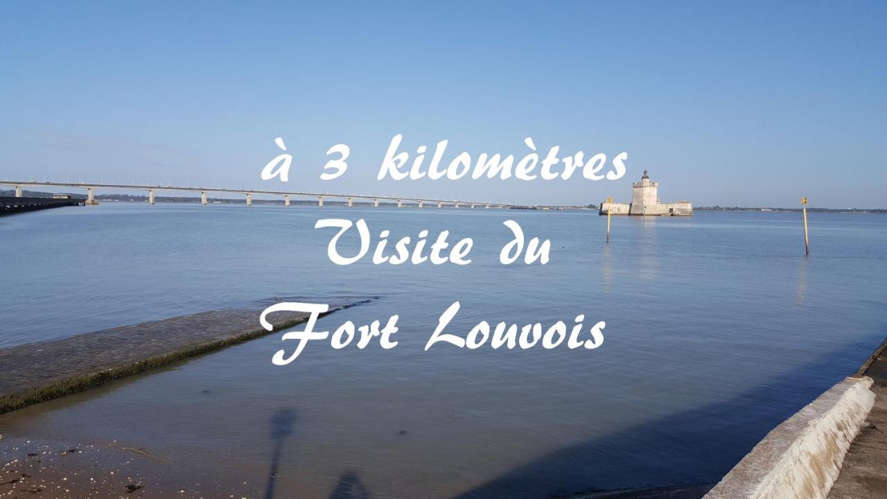 Adopt'ile Le Château-dʼOléron